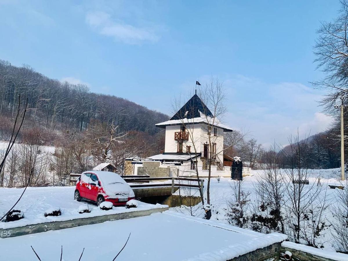 Chalet Vedmezhe Polyana  Exterior photo