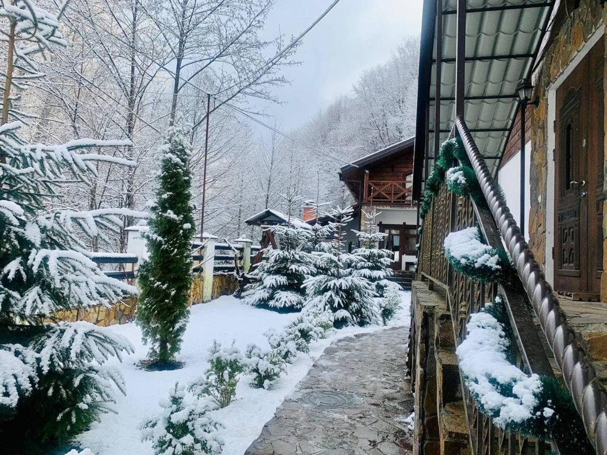 Chalet Vedmezhe Polyana  Exterior photo