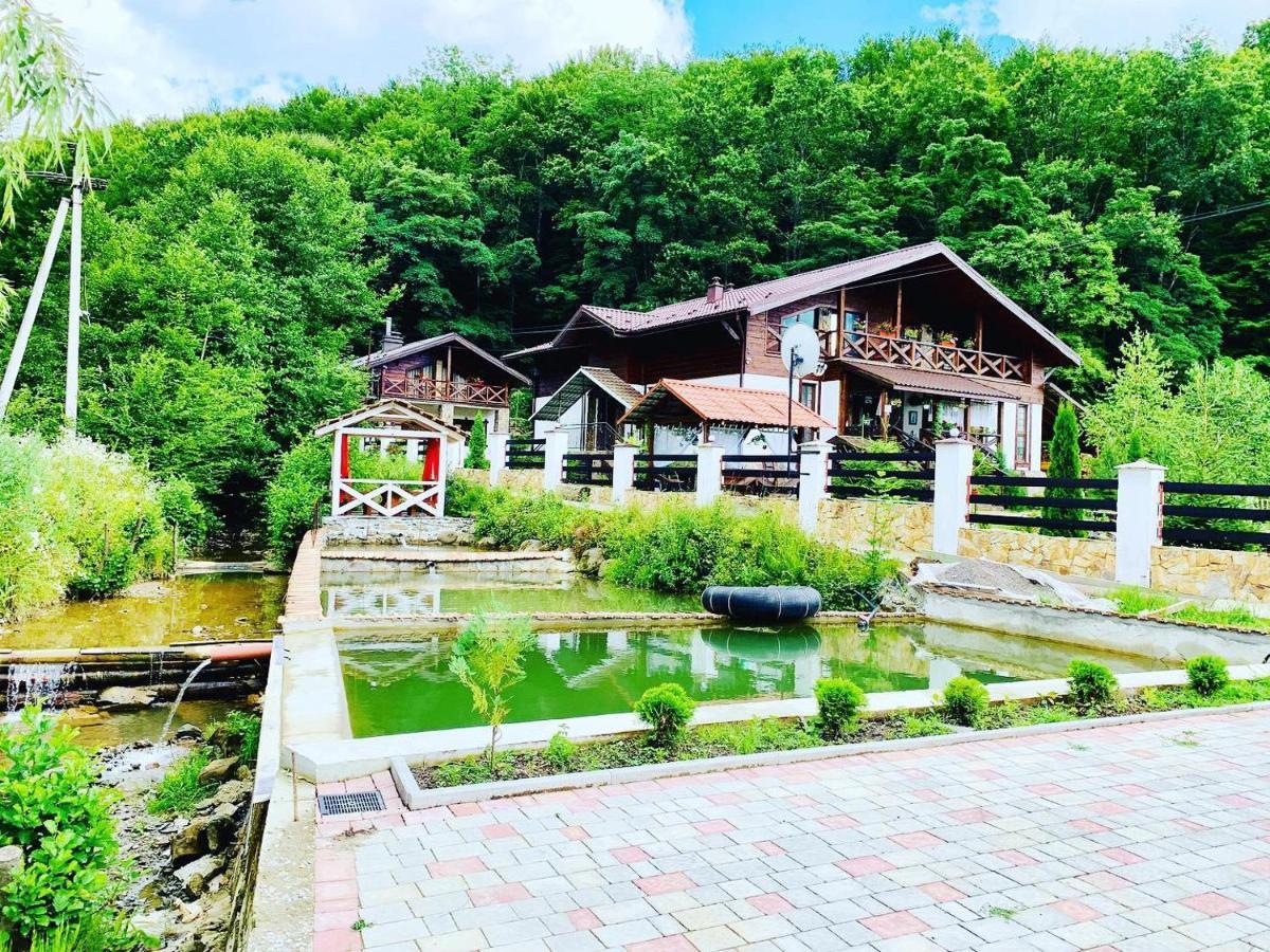 Chalet Vedmezhe Polyana  Exterior photo