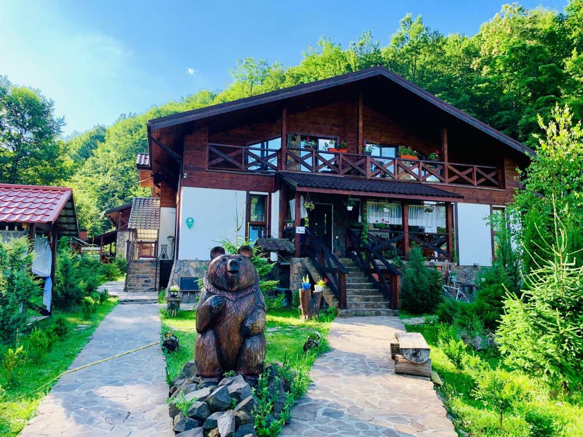 Chalet Vedmezhe Polyana  Exterior photo